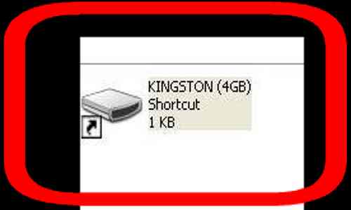 শর্টকার্ট ভাইরাসঃঃ পুরো জীবন কাহিনী (জন্ম থেকে মিত্যু পর্যুন্ত)