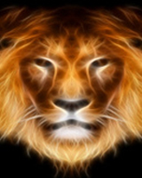 বাংলালায়ন দিয়ে কি VPN ব্যবহার করা যাই?