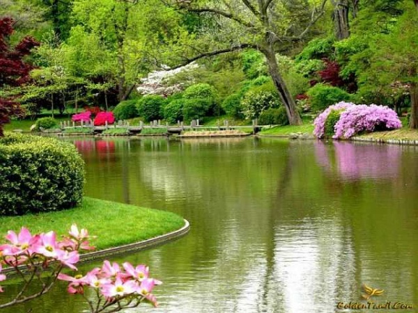 আমার একটা verify paypal account দরকার