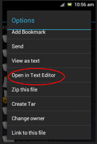Open in text editor