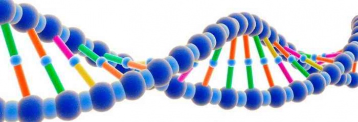 ছোট্ট কিন্তু খুব ই উপকারি