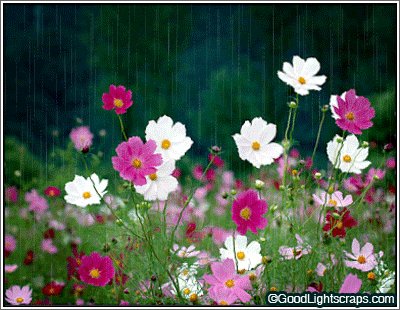 গরমে বৃষ্টির দিনের এ্যানিমেশন (কবিতা+ছবি=ছবিতা)………