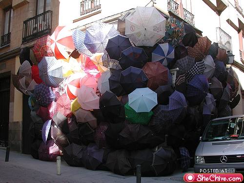 কিউট আমব্রেলা ফ্যাশন (ছাতার মাথা…বর্ষায় সবার জন্য উপহার)