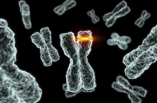 মিউটেশনঃ কল্পনা, এক্স-ম্যানের সম্ভাব্যাতা ও বাস্তবতা