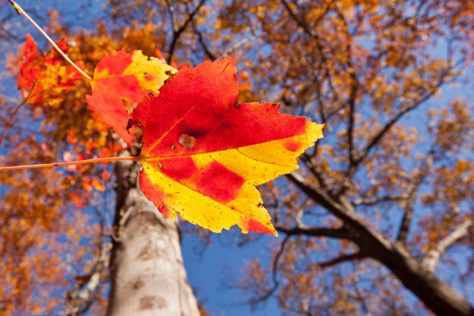 Google Adsense Help…….. Plz help me