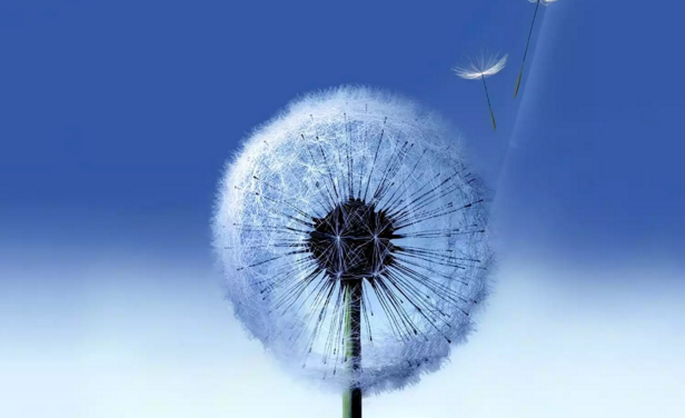 নিয়ে নিন Samsung Galaxy সিরিজের যত Live Wallpaper আছে সবগুলো।। দেখুন আপনার পছন্দ হয় কোণটি।। আর সাজিয়ে নিন আপনার ফোনকে আপন মনের মাধুরী মিশিয়ে।।