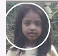 কিভাবে ভিডিওতে সার্কেল যোগ করবেন-ভিডিও এডিটরস নিড-১