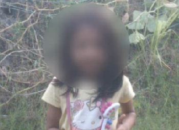 কিভাবে ভিডিওতে নির্দিষ্ট অংশে সার্কেল ব্লার করবেন-ভিডিও এডিটরস নিড-৩