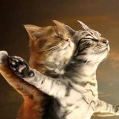 দু’টি সহজ প্রশ্ন এর উত্তর জানতে চায় আশা করি উত্তর দিবেন