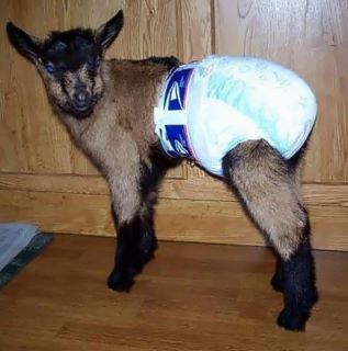 নাম ছাড়া ফোল্ডার