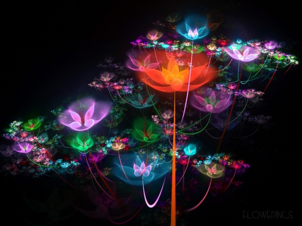 সাহায্য চাই PTC এর ব্যাপারে