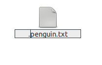 লিনাক্স ভিত্তিক অপারেটিং সিস্টেমে(উবুন্টু,মিন্ট সহ সকল ডিস্ট্রো) ফাইল ও ফোল্ডার লুকানোর(Hide)  উপায়
