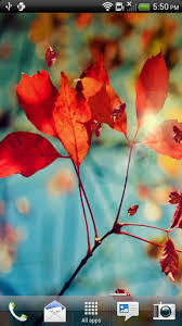 মাত্র ১ মেগা বাইটের মনের মত একটা লাইভ ওয়ালপেপার