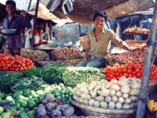 অনলাইনে দেখেনিন নিত্য প্রয়োজনীয় পণ্যের বাজার দর