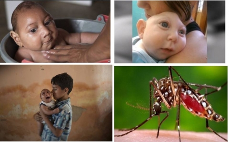 —(জিকা ভাইরাস – সতর্ক হন এখনি)—