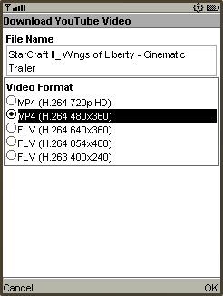 yourtube download screen
