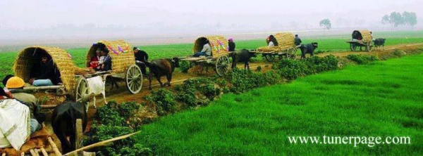 Adobe Photoshop টিউটোরিয়াল [পর্ব-০৭]