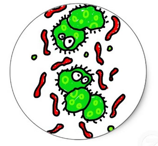 Border ছাড়া A4 সাইজের কাগজে প্রিন্ট করতে চাই ( Epson T13)