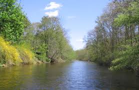 একটি আপেলকে সুন্দর একটি হাঁসে রূপান্তর করার পদ্ধতি [খুবই মজার একটি জিনিস]