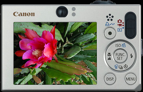 Canon_SD1000_back
