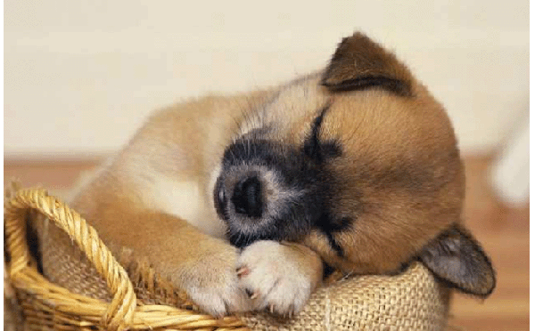 অ্যান্ড্রয়েড গুরুদের সাহায্য চাই। দয়া করে সাহায্য করুন।