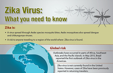 আতঙ্কের আরেক নাম “জিকা ভাইরাস”