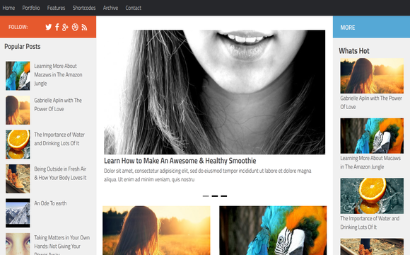 নিয়েনিন একটি অসাধারণ Health বিষয়ক ব্লগার টেমপ্লেট। প্লিজ একবার হলেও দেখেন।