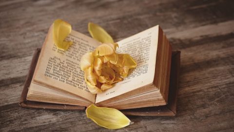 মুক্তিযুদ্ধের বয়ানে ইসলাম, বয়ান শুনতে তৈরি তো?