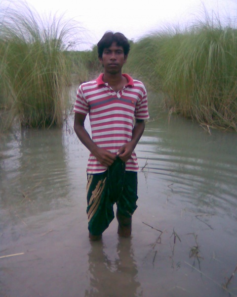 প্রবীণ ফ্রীলান্সারদের ভাইদের প্রতি আমার অনুরধ