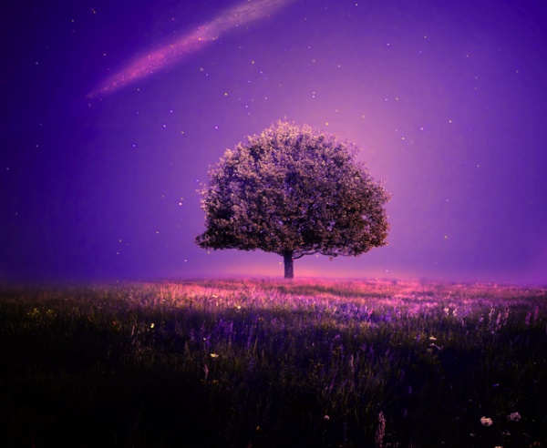 এন্ড্রইড এ যে কোনো ভিডিও কে লাইভ ওয়াল পেপার বানান খুব সহজ