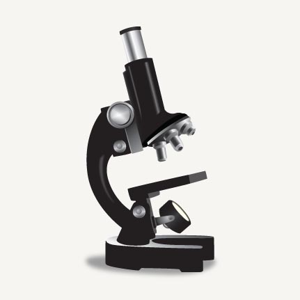 আপনার মোবাইল দিয়েই তুলেন মাইক্রস্কোপিক ছবি , পকেটেই রাখেন মাইক্রস্কোপ