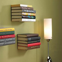 বুক শেলফে থাকবে বই কিন্তু এইসব কি ? বই থাকে নাকি অন্য কিছু ? জানতে হলে ক্লিক করুন