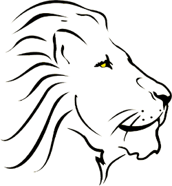 বাংলালায়ন ওয়াইমাক্স এর কার্ড কিনুন ৫% ছাড়ে…