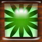 আমি বিস্মিত, এবার আপনার পালা [মিনি টিউন]