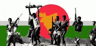 মহান মুক্তিযুদ্ধ সম্পর্কে জানুন। মহান মুক্তিযুদ্ধের উপর লেখা বইয়ের বিশাল সংগ্রহ থেকে আপনার টি বেছে নিন।