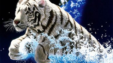 স্বপ্ন দেখতে নেই মানা: বাংলাদেশের অনুসরণীয় শীর্ষ ১০ প্রফেশনাল টেকি