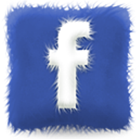 আপনার ফেসবুক স্ট্যাটাস ও ফটোতে অগনিত লাইক নিন ফ্রি-তে