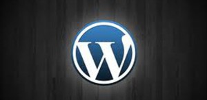 চলুন তৈরি করি cpanel এ নিজের একটি ফ্রি wordpress ব্লগ part :1