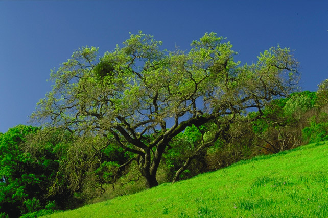 হেল্প পোষ্ট- ডার্ক ওয়েব সম্পর্কে এক্সপার্টদের মতামত চাই।