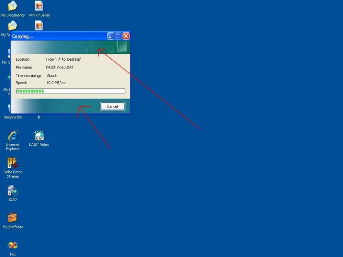 কপি করার সময় এমন দেখায়