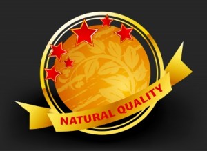 এসইও তে ৬ টি লিংক বিল্ডিং এর ভুল এবং ভুলগুলো যেবাবে এড়াবেন