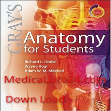 গ্রে’স এনাটমিঃ মায়ের লাশ ডিসেকশন