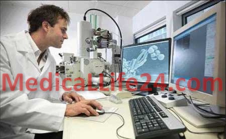 Cancer- কম্পিউটারে টানা কাজে ক্যানসারের ঝুঁকি