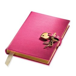 এইবার কম্পিউটারকে বানান আপনার personal  লক করা ডাইরি। কেউ পড়তে পারবেনা আপনি ছাড়া।