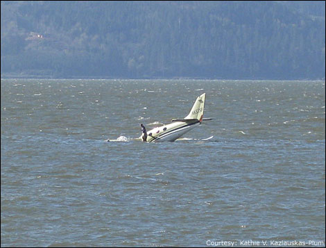 090424_plane_crash4_470