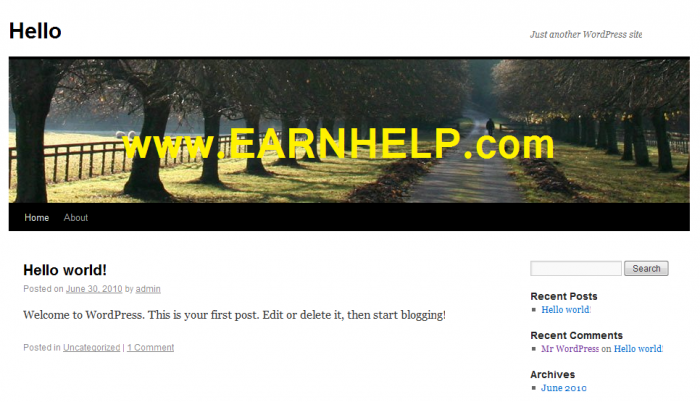 Hello - Just another WordPress site_1277915462755