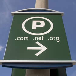 domain_parking_250x251