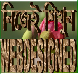 নিজেই শিখুন ওয়েব ডিজাইন (পর্ব-৩ )।