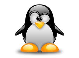 নতুন ইউজারদের জন্য Best Linux ! ২
