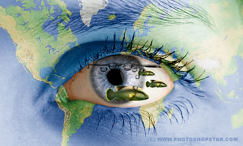 ফটোশপে কয়েকটি ছবির নিখুঁত মিক্সিং (ভিডিও)